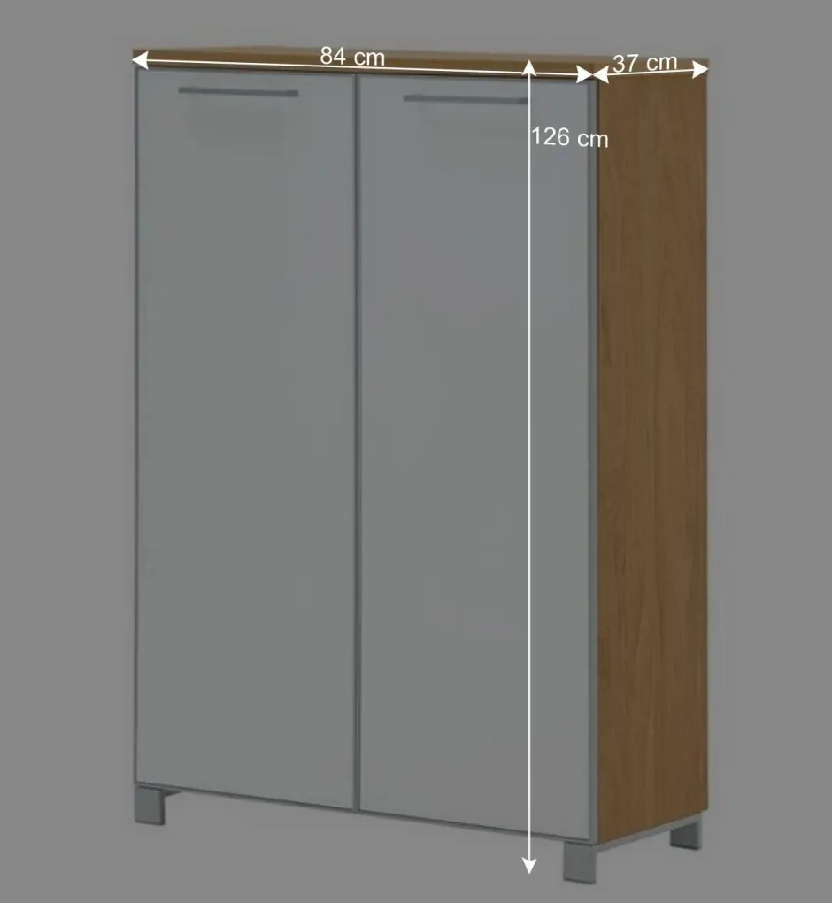 Wohnen 2 türiger Schuhschrank Wynoca in Weiß Glas beschichtet