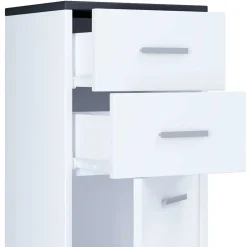 Wohnen Bad Hochkommode mit Schubladen und Tür - Rondja