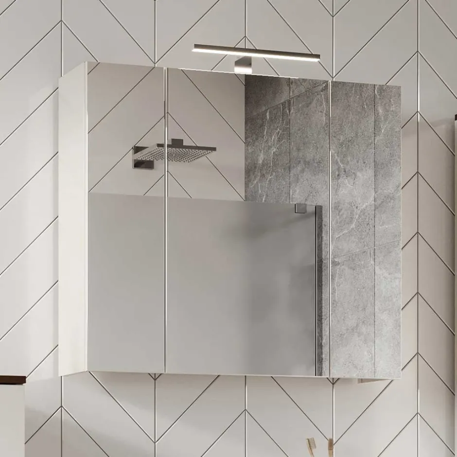 Wohnen Bad Spiegelschrank mit Aufsatzleuchte in Hellgrau - Dolida