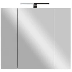 Wohnen Bad Spiegelschrank mit Aufsatzleuchte in Hellgrau - Dolida