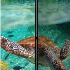 Kinder Wohnen Bedruckter Paravent Urlaubsträume Meer & Bewohner - Luzillo