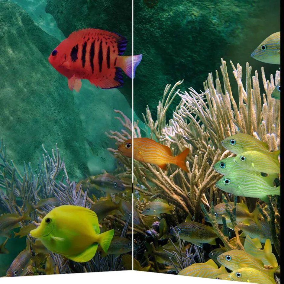 Kinder Wohnen Bedruckter Paravent Urlaubsträume Meer & Bewohner - Luzillo