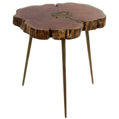 Wohnen Beistelltisch mit Baumscheibe Platte - Sibyella