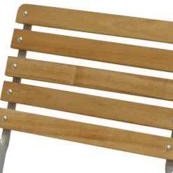 Wohnen Biergarten Gartengarnitur aus Robinie & Stahl - Haita (fünfteilig)