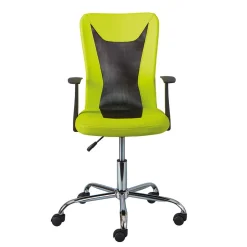 Design Bürostuhl in Hellgrün & Schwarz - Next^Wohnen