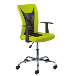 Design Bürostuhl in Hellgrün & Schwarz - Next^Wohnen