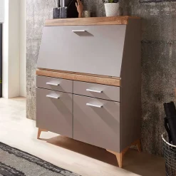 Wohnen Design Sekretär in Grau & Eiche NB - Zella