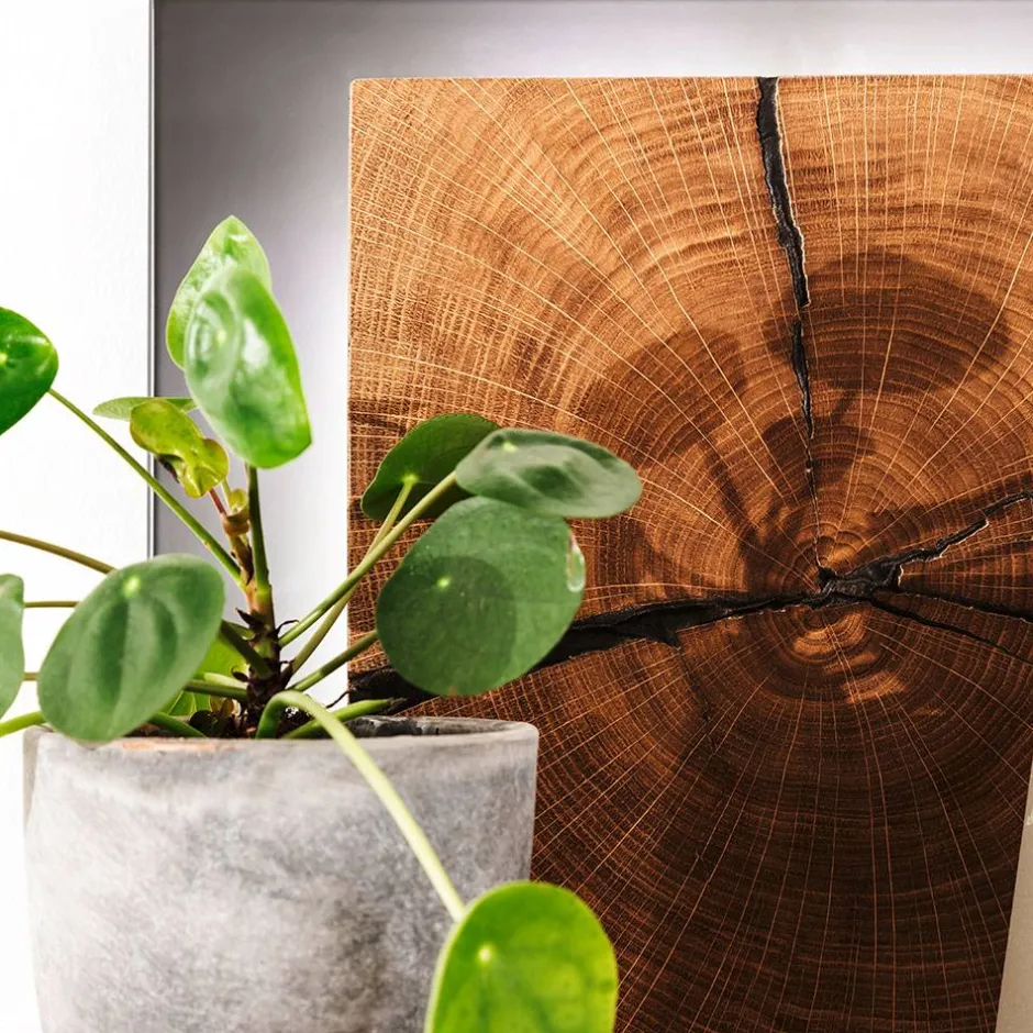 Design Wandregal mit Beleuchtung - Drinidad^Wohnen Discount