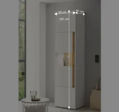 Design Wohnwand 270 cm breit - Nonessia (vierteilig)^Wohnen Hot