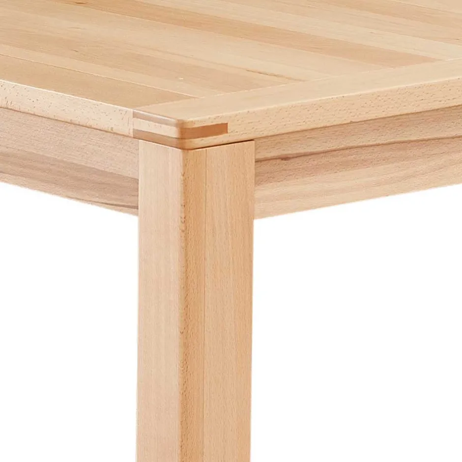 Essgruppe mit Bänken Set - Amyonta (dreiteilig)^Wohnen New