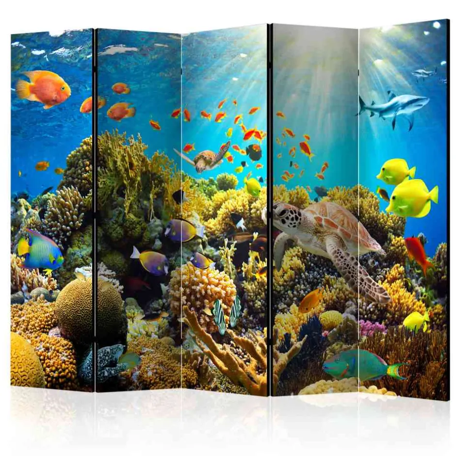 Foto Paravent Korallenriff & Meerestiere - Ceskan^Wohnen