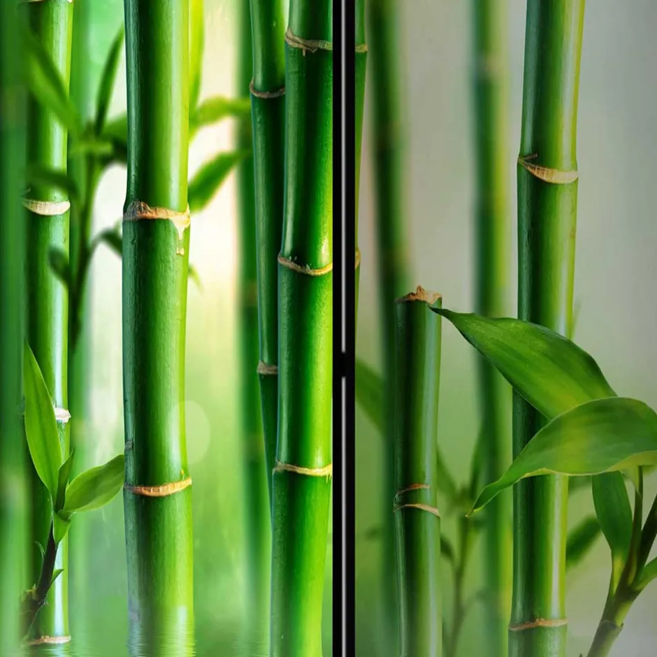 Foto Paravent mit Bambus & Wasser Motiv - Enyi^Wohnen New