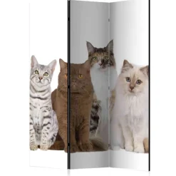Kinder Wohnen Fotodruck Paravent mit Katzen - Tresena