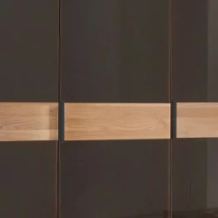 Wohnen Glasfront-Kleiderschrank mit fünf Türen - Hung