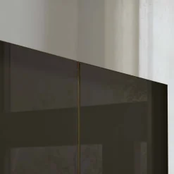 Wohnen Glasfront-Schlafzimmerschrank in Dunkelbraun - Hung