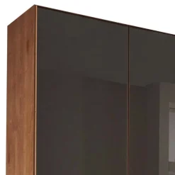Wohnen Glasfront-Schlafzimmerschrank in Dunkelbraun - Hung