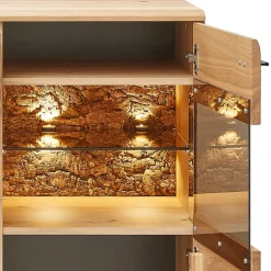 Wohnen Highboard mit Glaseinsätzen in Esche - Cassna