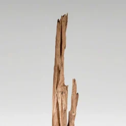 Holz Skulptur Teako aus Treibholz^Wohnen New