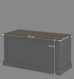 Wohnen Landhaus Truhe in Grau mit Eiche - Rino