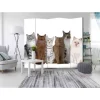 Leinwand Paravent mit Katzen Foto - Jalana^Wohnen Sale