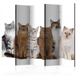Leinwand Paravent mit Katzen Foto - Jalana^Wohnen Sale