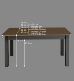 Wohnen Massivholz Esstisch Ziamora in Grau Kiefer