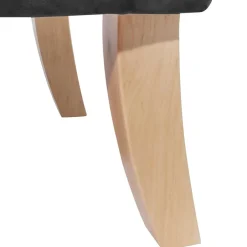 Wohnen Ohrenbackensessel in Anthrazit Samtvelours - Camcupa