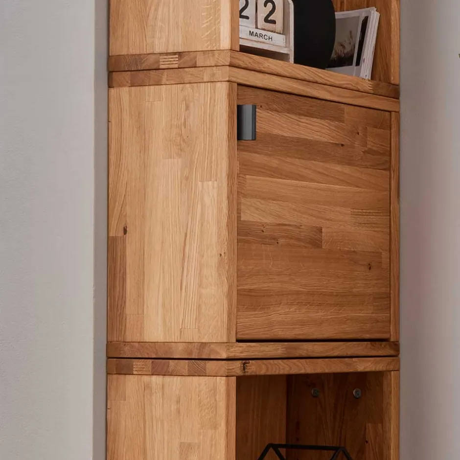 Regalwürfel mit Tür in zwei Tiefen - Iljona^Wohnen Discount