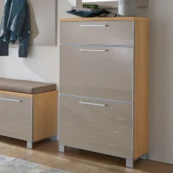 Schuh Klappenschrank Diecca in Taupe Glas beschichtet^Wohnen New