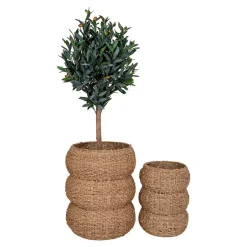 Seegras Körbe im Landhausstil - Lottessa (zweiteilig)^Wohnen Hot