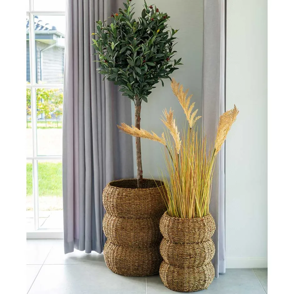 Seegras Körbe im Landhausstil - Lottessa (zweiteilig)^Wohnen Hot