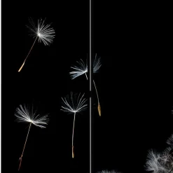 Spanischer Raumteiler mit Pusteblumen Foto - Hocumola^Wohnen Outlet