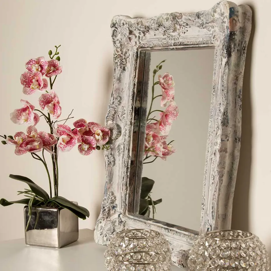 Wohnen Spiegel aus Grey Wash Tannenholz - Zyamonicus