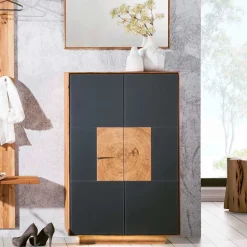 Wohnen 2-türige Schuhkommode in Anthrazit Glas - Mandrey