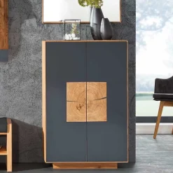 Wohnen 2-türige Schuhkommode in Anthrazit Glas - Mandrey