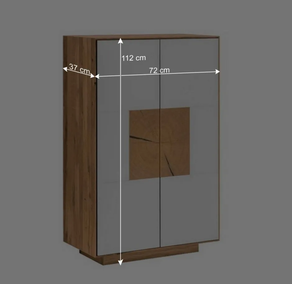 Wohnen 2-türige Schuhkommode in Anthrazit Glas - Mandrey