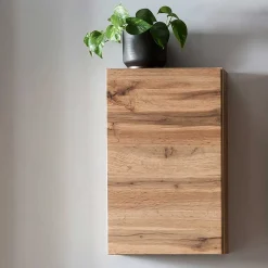 1-türiger Hängeschrank in Wildeiche Dekor - Iliam^Wohnen Hot