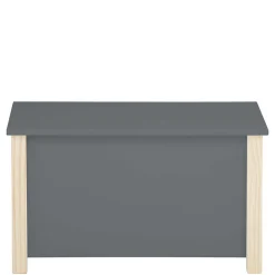 Kinder Wohnen Truhe mit flachem Deckel - Bradley