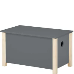 Kinder Wohnen Truhe mit flachem Deckel - Bradley