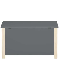 Kinder Wohnen Truhe mit flachem Deckel - Bradley