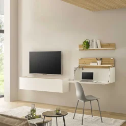 Wohnen TV Board & Regal & Sekretär hängend - Nonessia (dreiteilig)