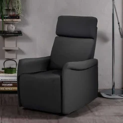 Wohnen TV Wohnzimmersessel in Anthrazit - Zalona