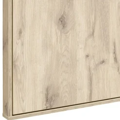 Wohnen Wandgarderobe mit Spiegel in Wildeiche Optik - Vapposia