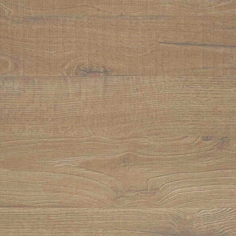 Wandregal Rodonda in Eiche^Wohnen Outlet