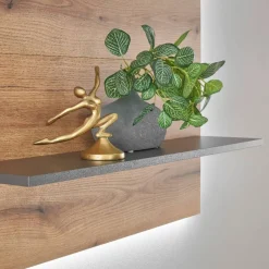 Wohnen Wandregal-Paneel in Wildeiche Optik und Anthrazit - Colomania