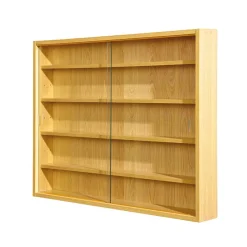 80x60x10 cm Hängevitrine Sammelvitrine 2-türig - Grands^Wohnen Clearance