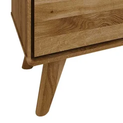 Wohnen 120x48x40 cm Wildeiche TV Element mit Tür - Eavy