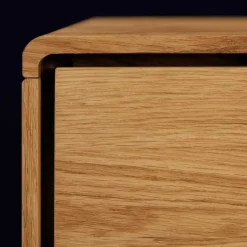 Wohnen 120x48x40 cm Wildeiche TV Element mit Tür - Eavy