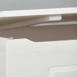 89x53x47 Landhaus Truhe in Weiß - Vaslui^Wohnen Hot