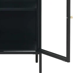 Wohnen 90x85x40 2-türiger Schrank aus Glas & Metall - Butoaie